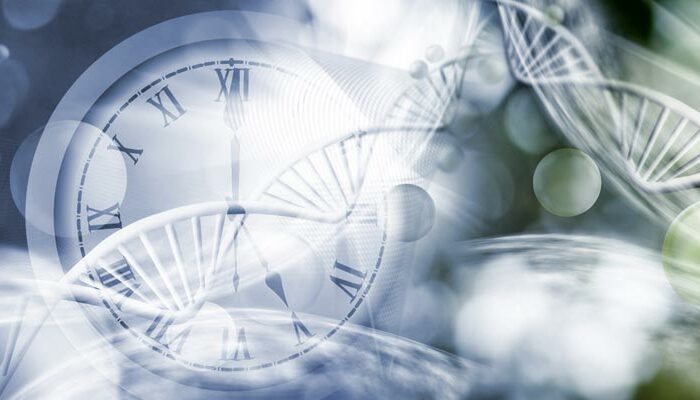 Nobel discovery: Body clock studies – more than just jet lag