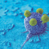 T-lymphocytes-cancer-cell